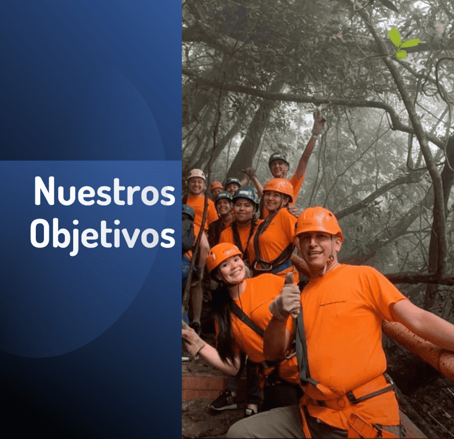 Objetivos del sistema Integrado de gestión Camacol Intranet